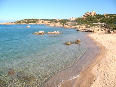 Il Cardellino (Isola di La Maddalena - Sardegna - Italy)